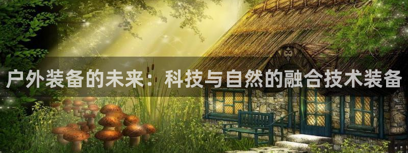 新宝gg信息