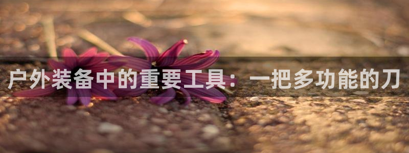 新宝gg主管111