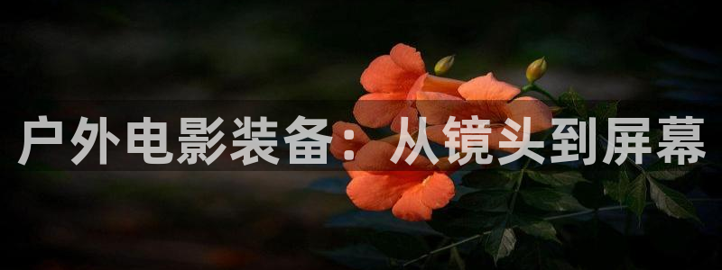 新宝gg平台连接