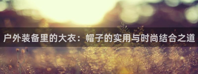 新宝gg联系