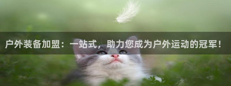 新宝gg辅助