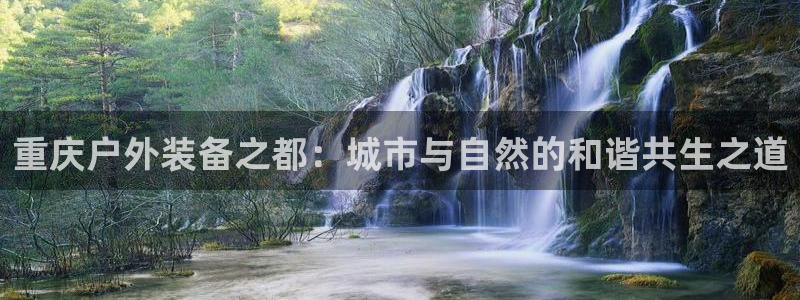 77新宝gg