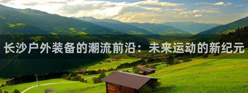 新宝gg赚钱
