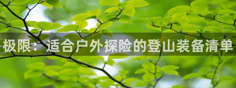 广东新宝电器gg