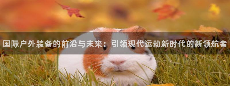 新宝gg登陆平台