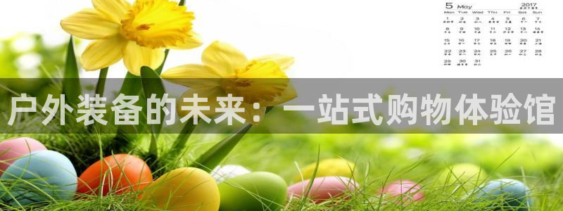 新宝GG之家