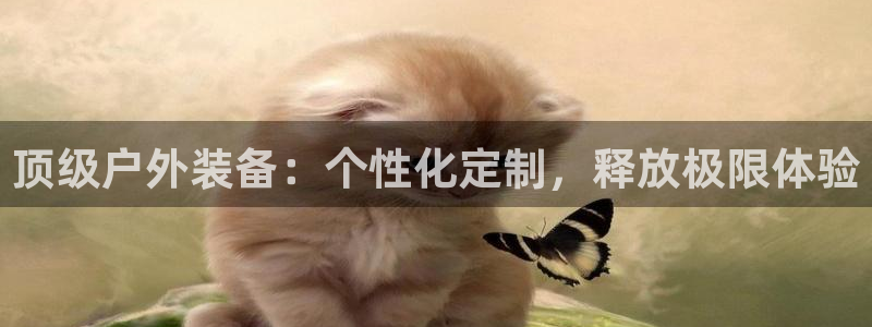 新宝gg挂机软件下载