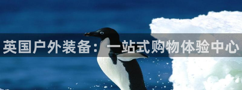 新宝gg怎样
