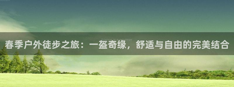 关于新宝GG
