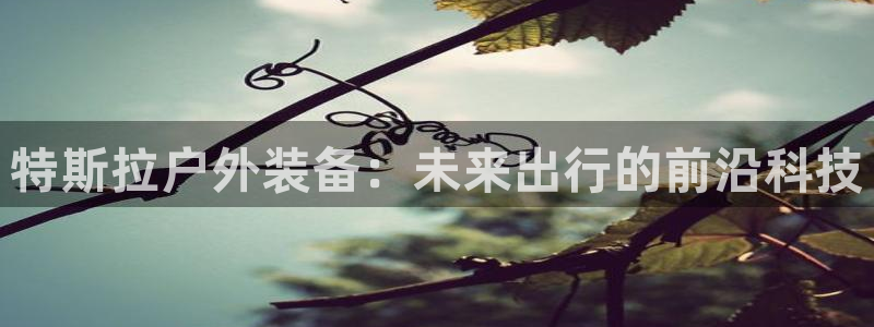 网站是新宝gg