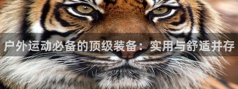 新宝gg 奇迹