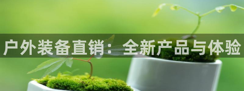 新宝gg龙虎