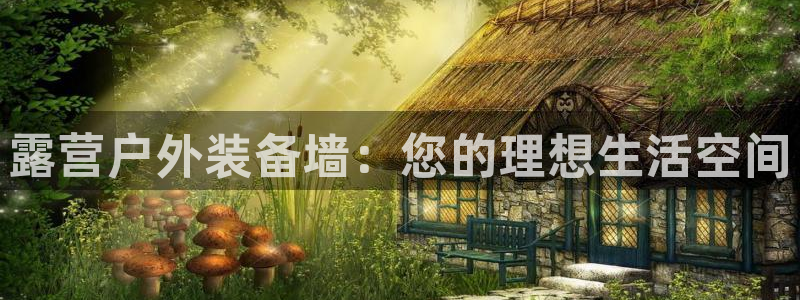 下载新宝gg