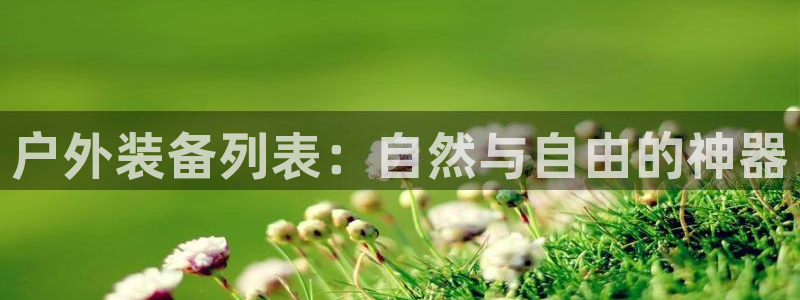 55新宝gg