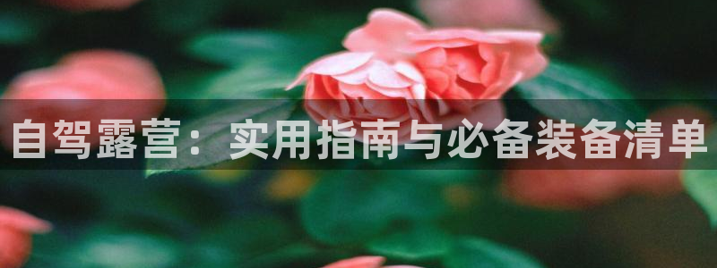 新宝gg主
