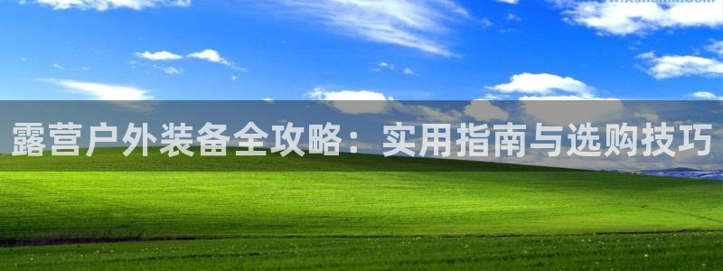 新宝gg套路