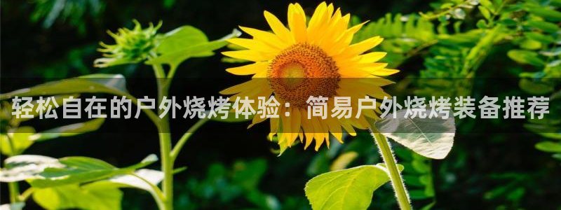 新宝gg登陆新