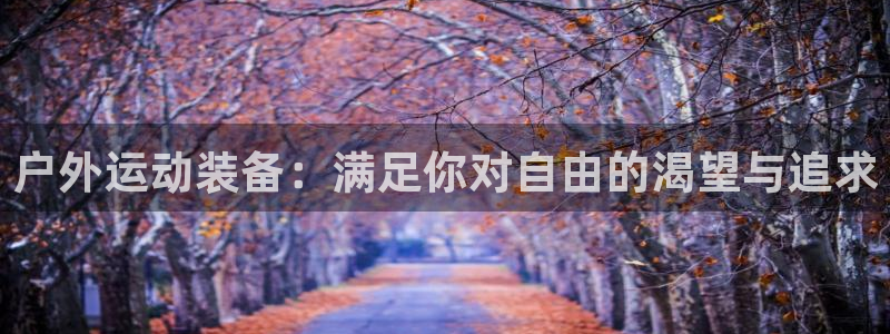 新宝gg打发