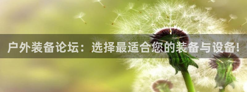新宝GG最高返点多少