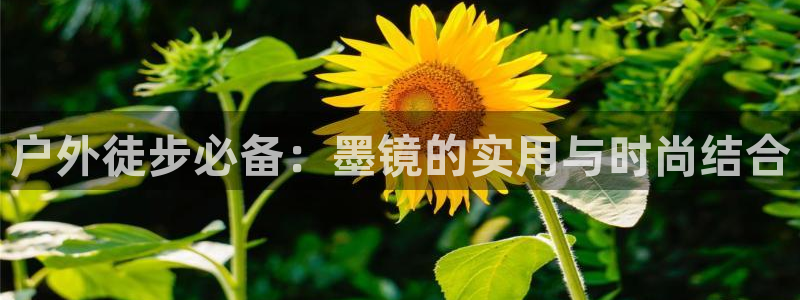 新宝gg计划