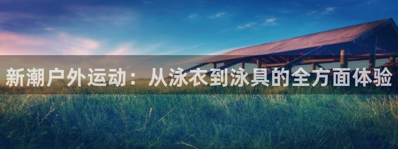 新宝gg打发