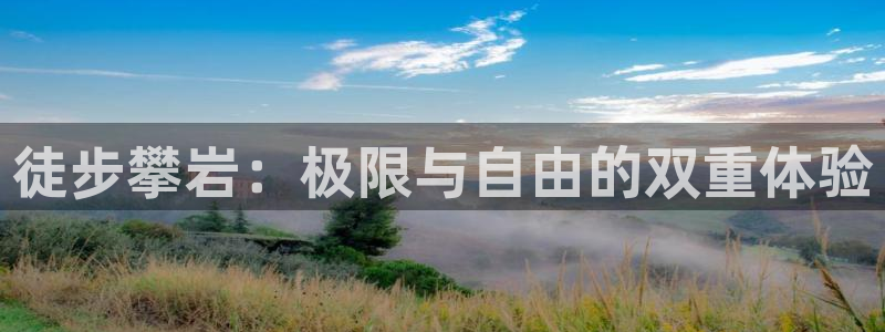 新宝一gg测速