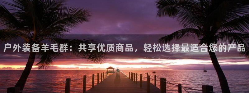 新宝gg群