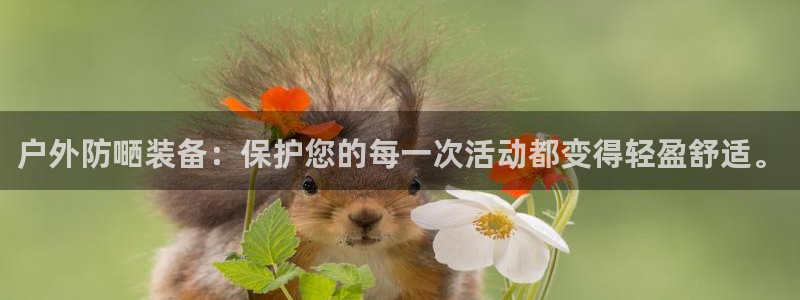 新宝gg平台下载安装