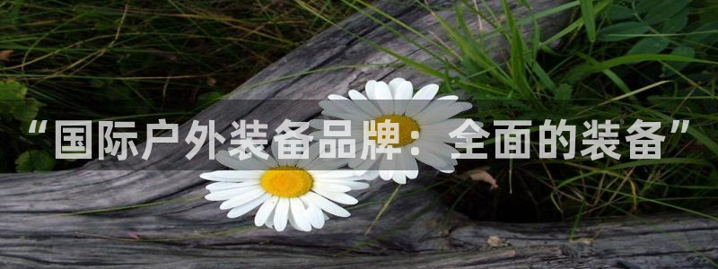 新宝GG娱乐-上皇巢网