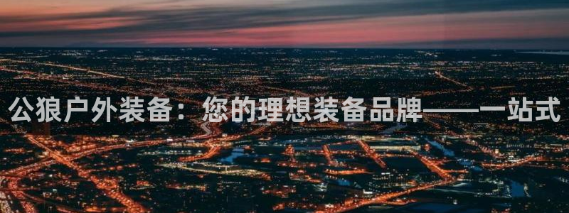 新宝gg代理条件