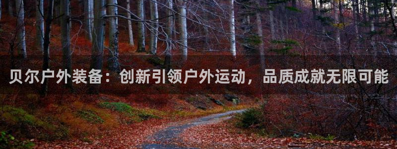 新宝gg 平台怎么样