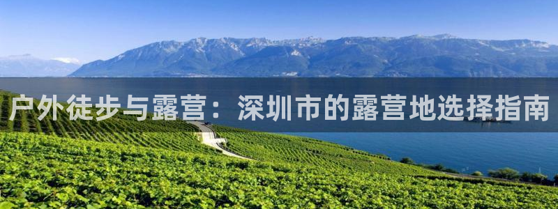 网站是新宝gg