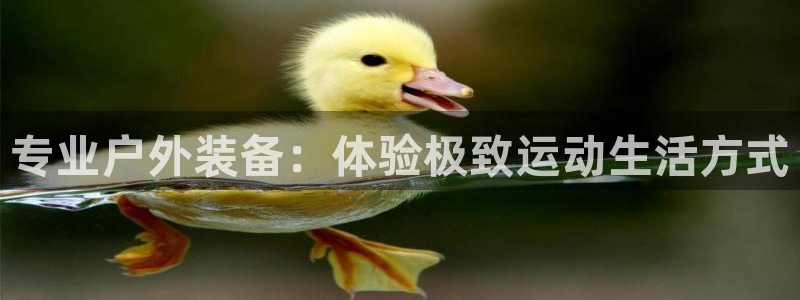 新宝gg怎样代理