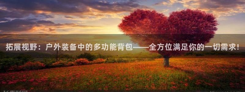 新宝gg指定平台