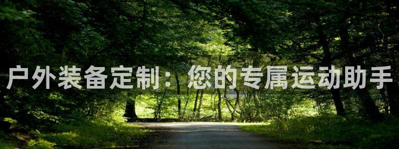 新宝gg怎样代理