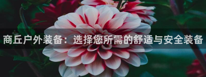新浪新闻新宝gg
