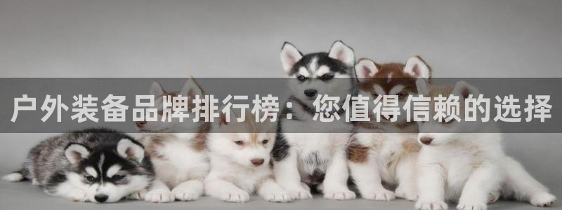 新宝GG最高返点多少