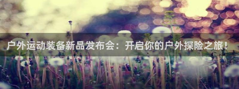 广东新宝电器gg
