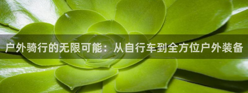 新宝gg总管
