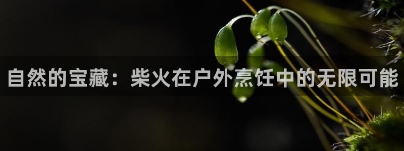新宝gg登陆平台