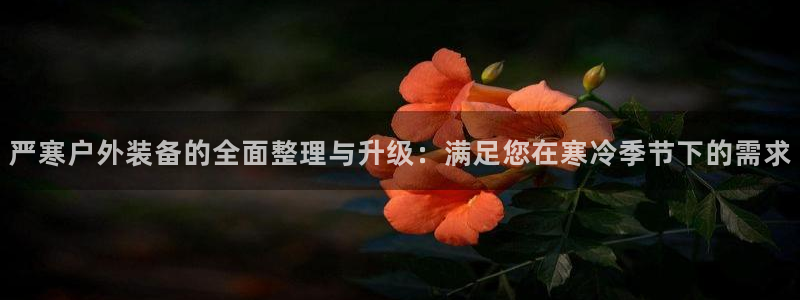 新宝gg主管开