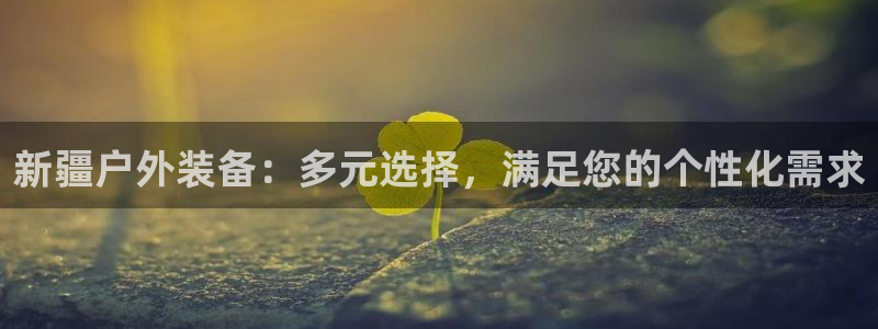 新宝gg娱乐