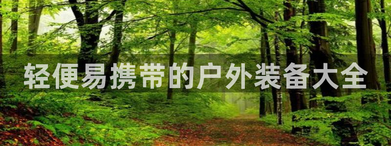 新宝GG挂机