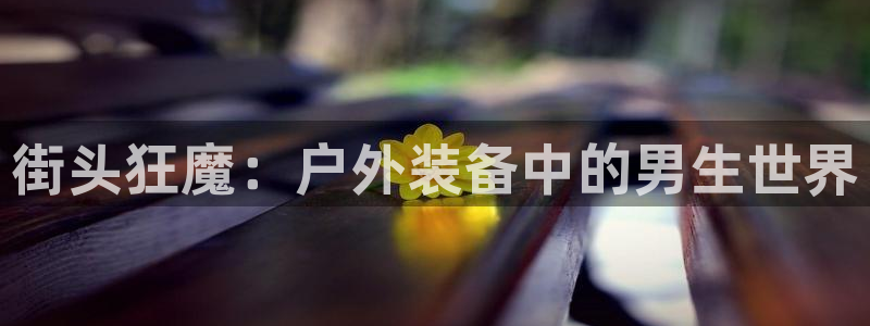 新宝gg 创造