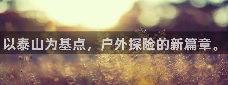 11新宝gg