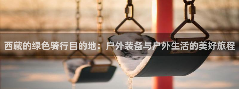 新宝gg8