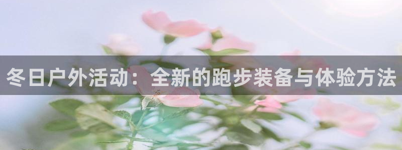 新宝GG主管41333