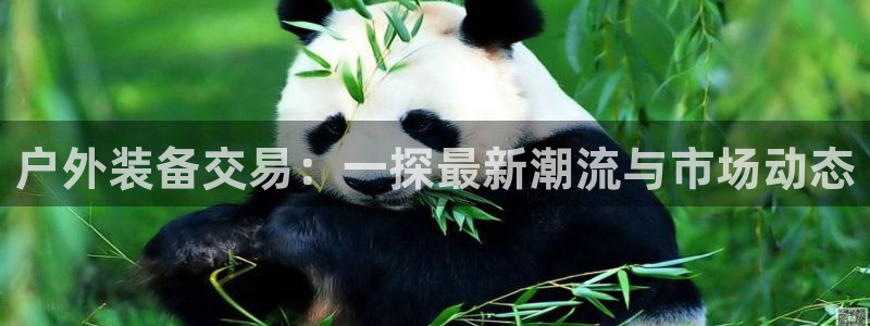 新宝gg娱乐-上鼎狐网