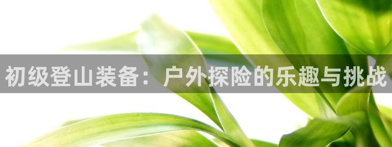 新宝gg开户