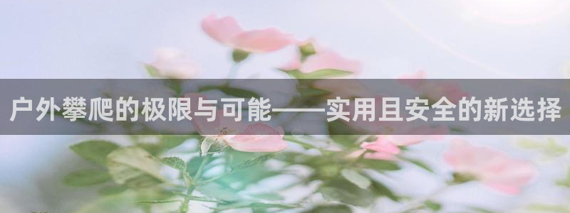 新宝gg成立